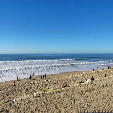 Les Landaises-9 By Interhome Lacanau